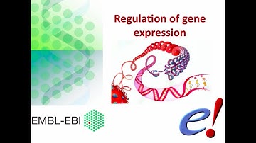 Introduction to the Ensembl Genome Browser - Webinar Series (2020): Webinar 5 - Regulation