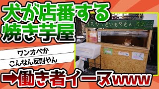 【2ch動物スレ】犬が店番する焼き芋屋が話題に！←おまえらより働き者