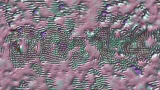 Reaction Diffusion Screensaver