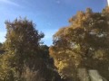 Zeitraffer Herbst Time lapse