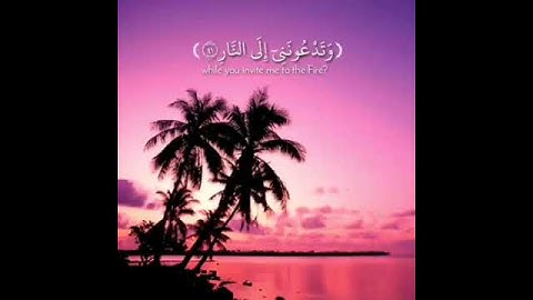 راحه نفسيه للجسم قرآن الكريم . سورة غافر. القارئ أحمد النفيس💙🌹🎧