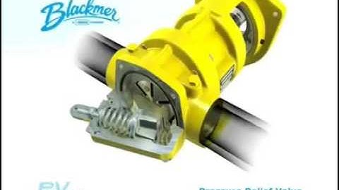 Nguyên lý hoạt động bơm cánh gạt 3D