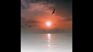 إِنَّ أَصْحَابَ الْجَنَّةِ الْيَوْمَ فِي شُغُلٍ فَاكِهُونَ (55) #سورة_يس