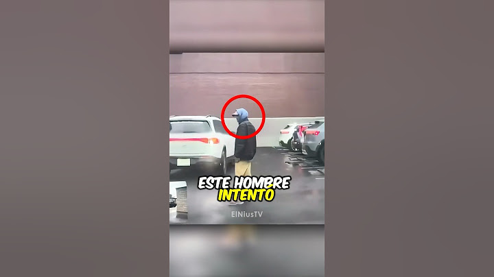 Este Hombre Rompió Un Auto y Se Arrepintió al Instante 😂