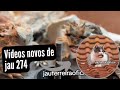 Vdeos novos de jau 274