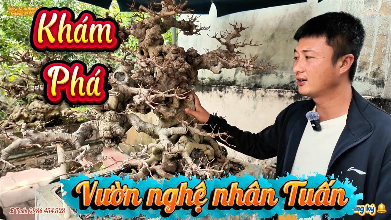 Khám phá vườn nghệ nhân Tuấn ngạc nhiên nhiều cây quý 