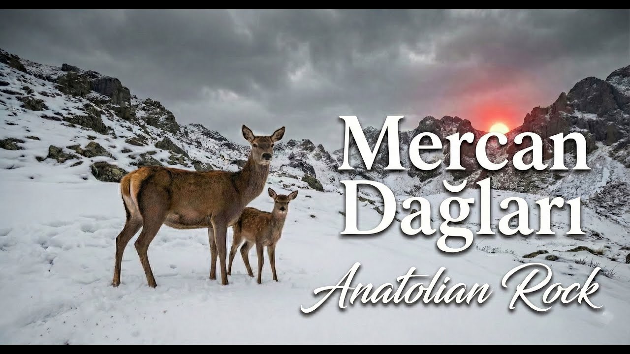 MERCAN DAĞLARI - (ANATOLIAN ROCK)