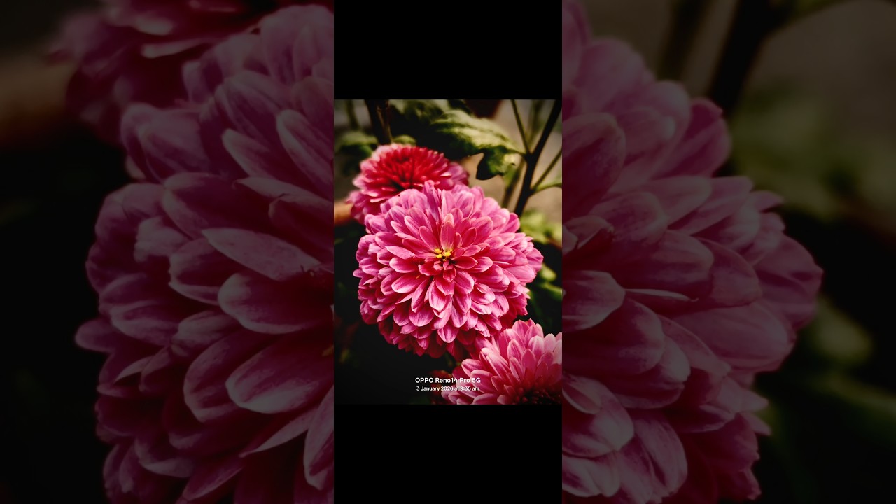 Creative photography | tips and tricks Using pro mode😉| Mobile photography 