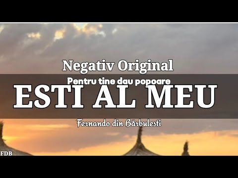 Negativ original-Esti al meu/ Pentru tine dau popoare. Fernando din Barbulesti