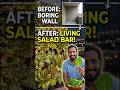 Boring Balcony space into a Salad Wall #gardeninghacks #verticalgardening