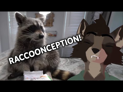 Raccoon Reacts To Raccoon Rating Goldfish Flavors! (feat. @TitoTheRaccoon)
