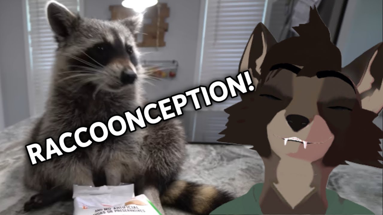 Raccoon Reacts To Raccoon Rating Goldfish Flavors! (feat. 