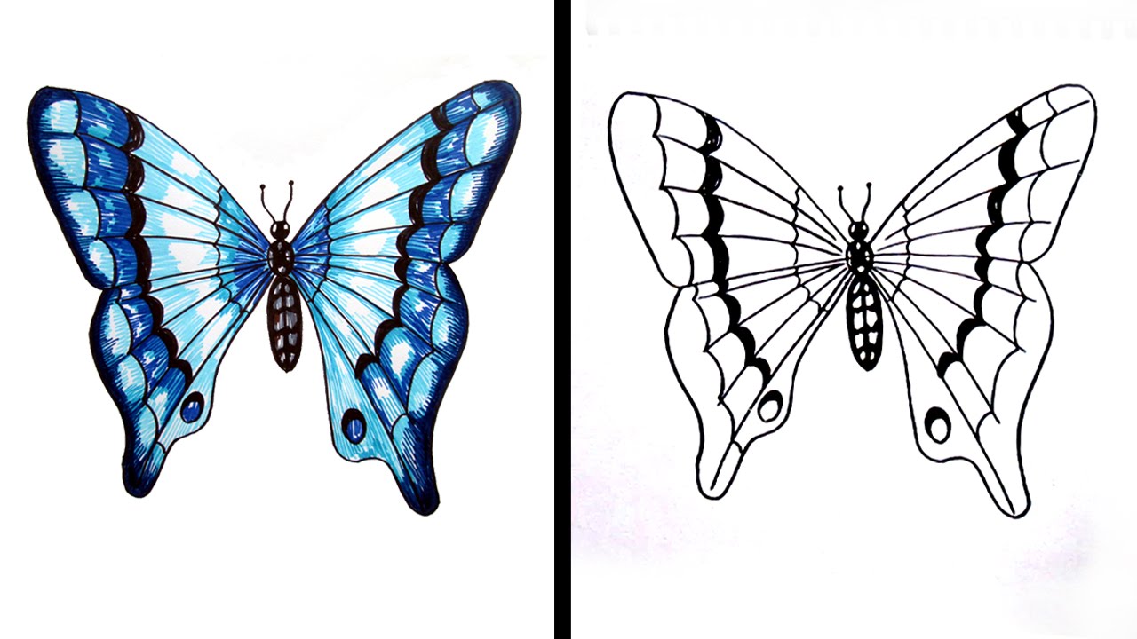 How to Draw a Butterfly Easy Step by Step / Drawing for ...