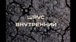 видео Ремонт рулевой рейки Honda, доступные цены Москва