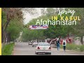 Spring in Kabul Afghanistan | Cinematic video