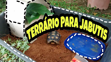 Como fazer um cercado para tartarugas?