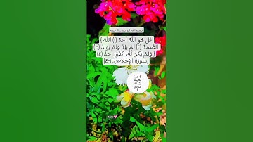 سورة الإخلاص🩷 #egzonibrahimi #دعاء #اكسبلور #تيك_توك #allahuakbar #لايك #quran #ترند