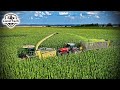 ВОТ ЭТО МОЩЬ: Кормоуборочный комбайн KRONE BIG X 780 убирает кукурузу высотой с трактор!