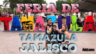 Tamazula De Gordiano Jalisco Feria