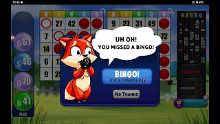 Bingo Super Fun Game