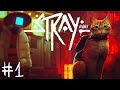 UN GATTO in un MONDO di ROBOT - Stray ITA #1