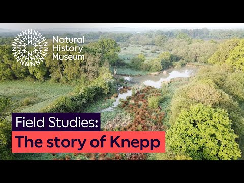 The story of Knepp: A rewilding success | Ep. 1 | Natural History Museum