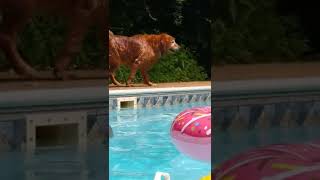 Olivia still has it at almost 9 years old