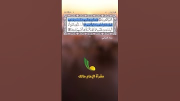 تلاوة خاشعة وهادئة مختارة من سورة المائدة || الآية 51 إلى الآية 53 || القارئ عماد حرابي