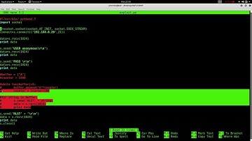 Buffer overflow attacks  - Fuzzing Part 3