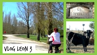 Vlog León 3: Aventura en bici y comiendo la mejor carne del mundo!