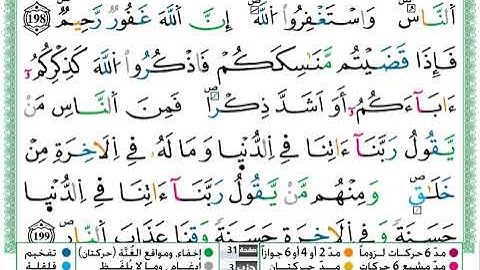 سورة البقرة مكتوبة كاملة || تلاوة بصوت توفيق النوري برواية ورش عن نافع