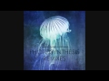 Miniature de la vidéo de la chanson Photosynthesis (Live Version)
