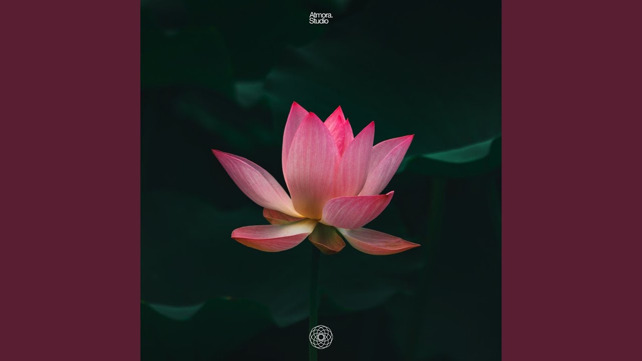 Watch Buddha Calm on YouTube Watch Buddha Calm on YouTube