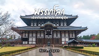 The Spirit of Nara | มรดกโลกเมืองโบราณในประเทศญี่ปุ่น