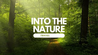 Discovering Hidden Trav Gem: A website that's cheaper than MMT!