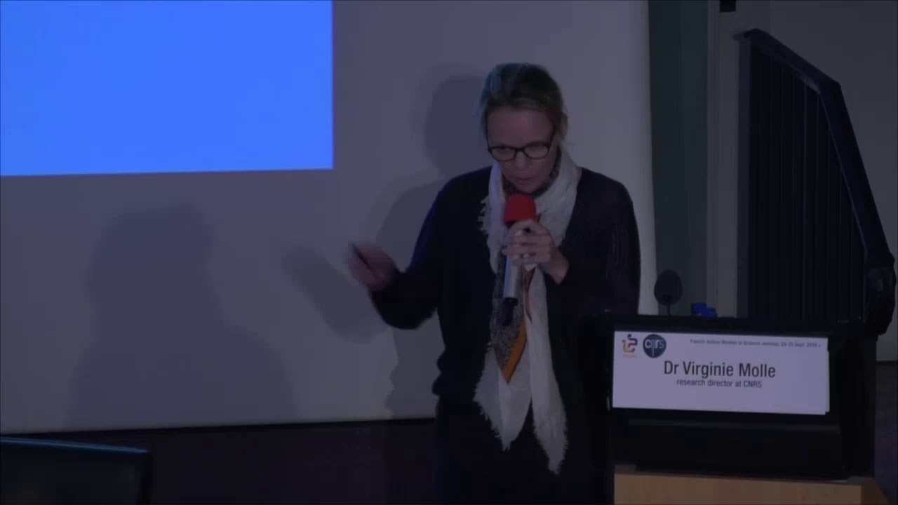 Virginie Molle, "TB or not TB"