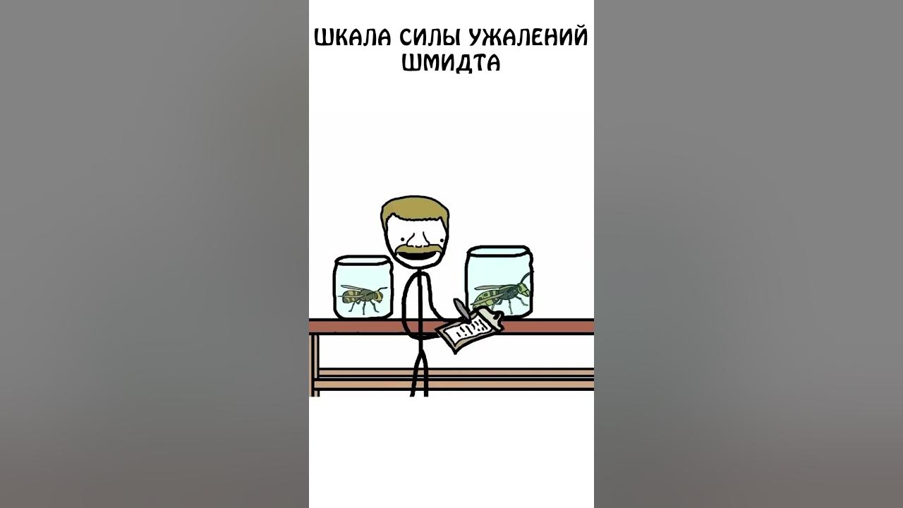 "Шкала силы ужалений Шмидта" #сэмонелла #анимация #авызналиэто # ...