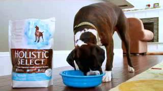 Pets Naturally Traverse City