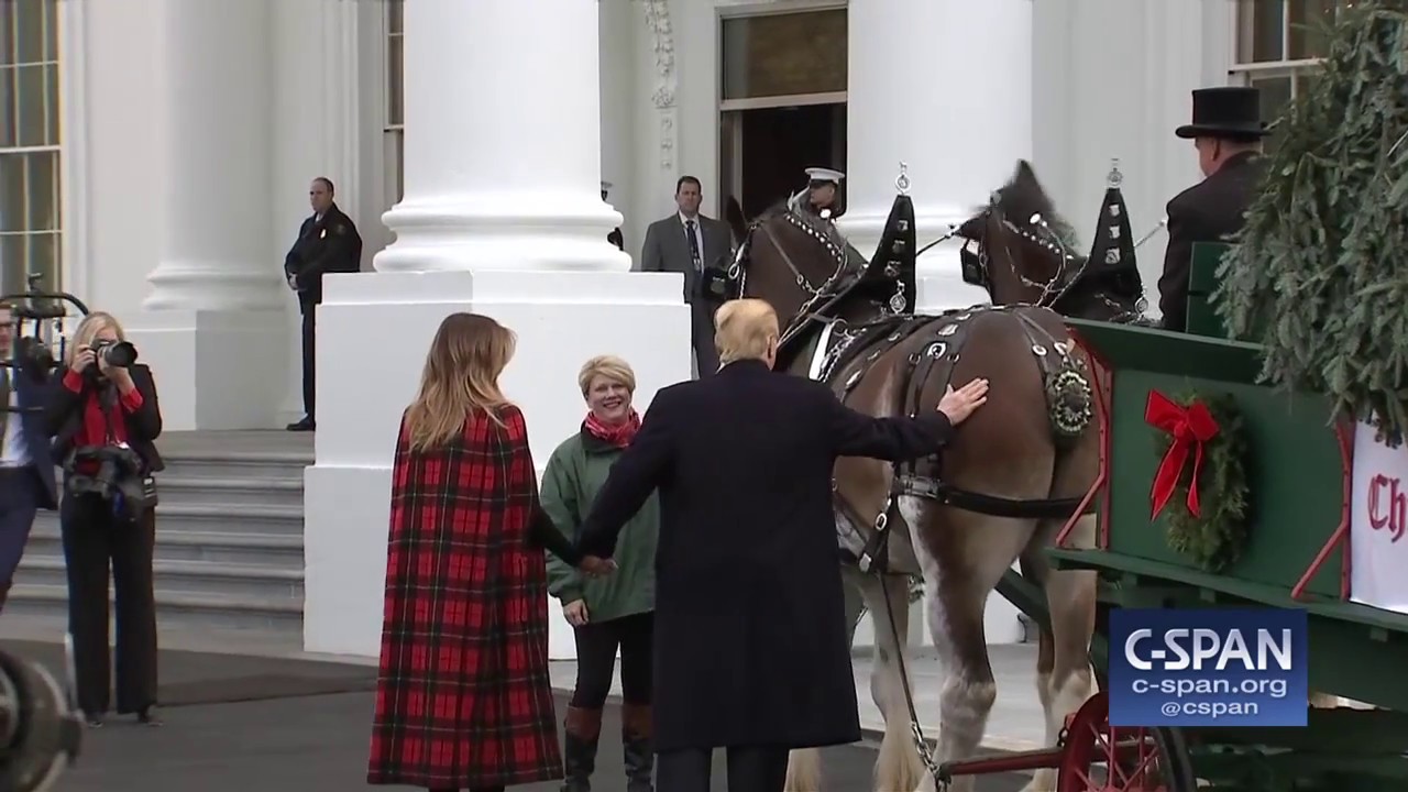 c-span channel Word for Word: President Trump & First Lady Receive White House Christmas Tree (C-SPAN)