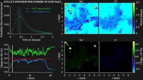 Spatial atomic velocity distribution across fully ionized (desalination) polyamide membrane