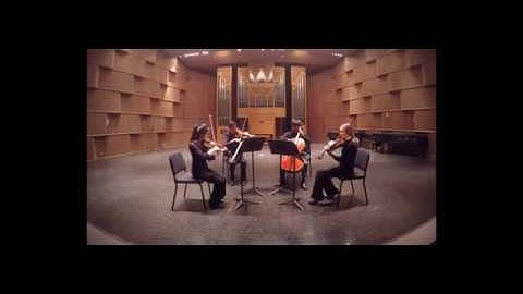 Dvořák—String Quartet No. 7 in A minor, Op. 16 (first movement)