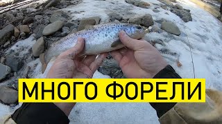 Как поймать форель в горной реке. Trout fishing