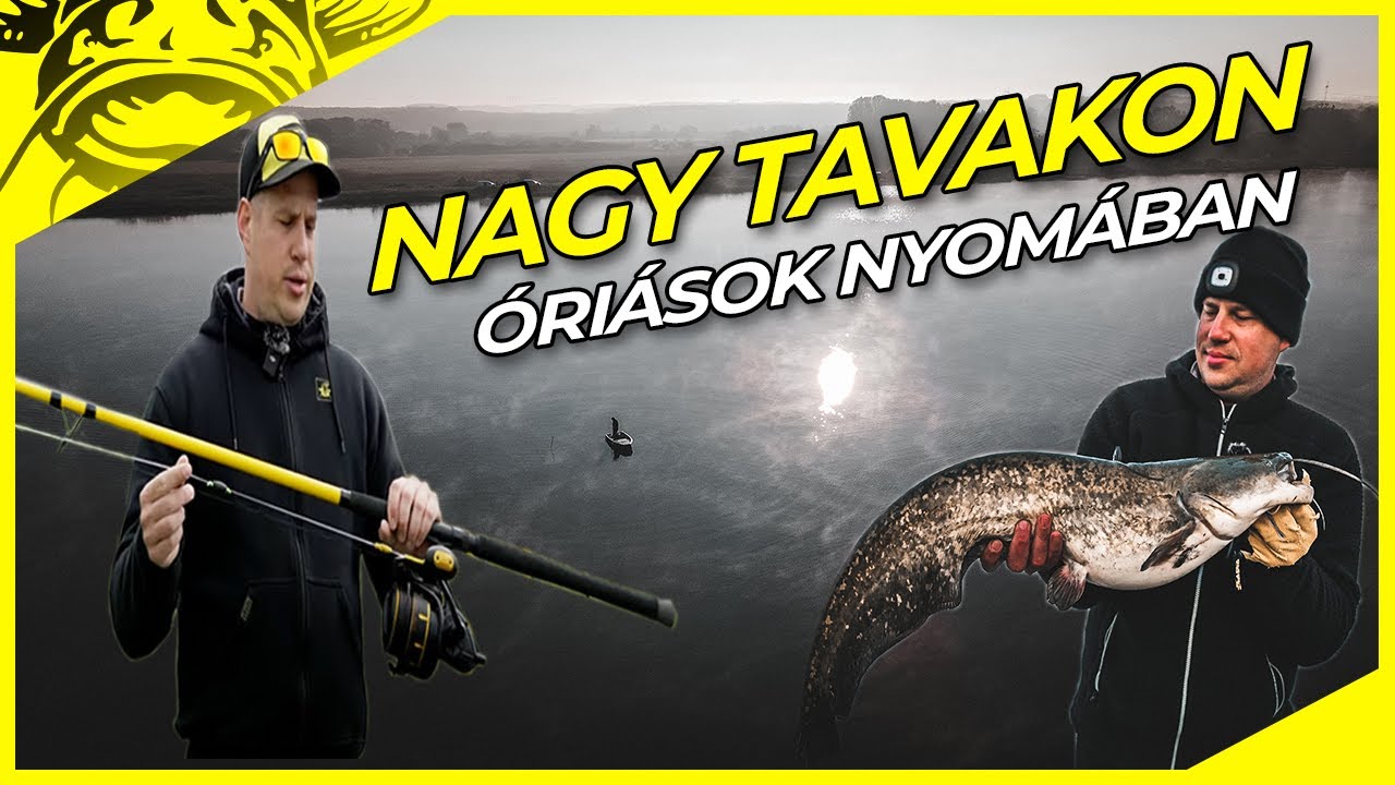 Nagy-tavi horgászat óriásharcsákra | Black Passion G2 botok | Úszós harcsázás Bence Újvári-val