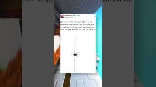 Euclids Lines Just Got Tangled