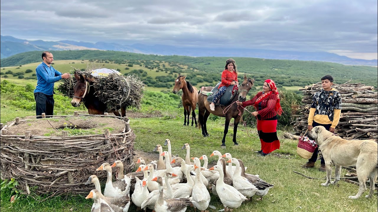 Setting Up the Nomad Tent for the Most Beautiful Summer Migration