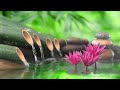 Relaxing Music 24/7 - Stress Relief Music, Meditation, Spa, Sleep, Zen, Calming Music, Study, Yoga