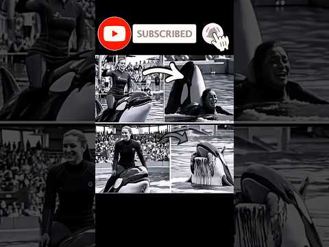 دختری که سالها دلفین را پرورش داده بود توسط همان دلفین کشته شد