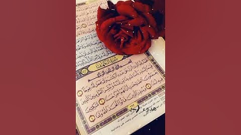 وقل رب اعوذ بك من همزات الشياطين اسلام صبحي تلاوة خاشعة ومؤثرة قران كريم 🤍🍁🕊️