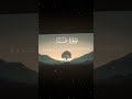 سورة طه 13 16 القارئ محمد اللحيدان قران Quran راحة نفسية قران كريم تلاوة هادئة آية تلاوة خاشعة 