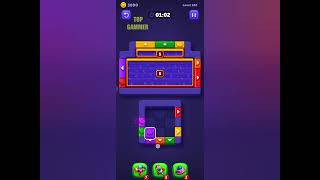 Block Out! Color Sort Puzzle level 102 gameplay walkthrough solution